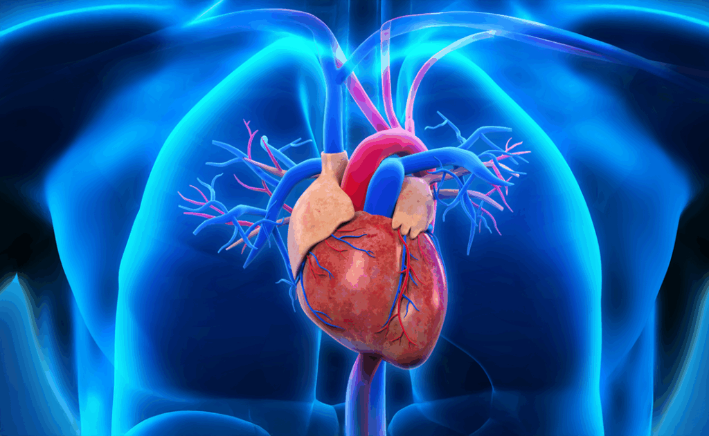 Exercício na Reabilitação Cardíaca: o que diz a nova revisão sistemática da ASSOBRAFIR